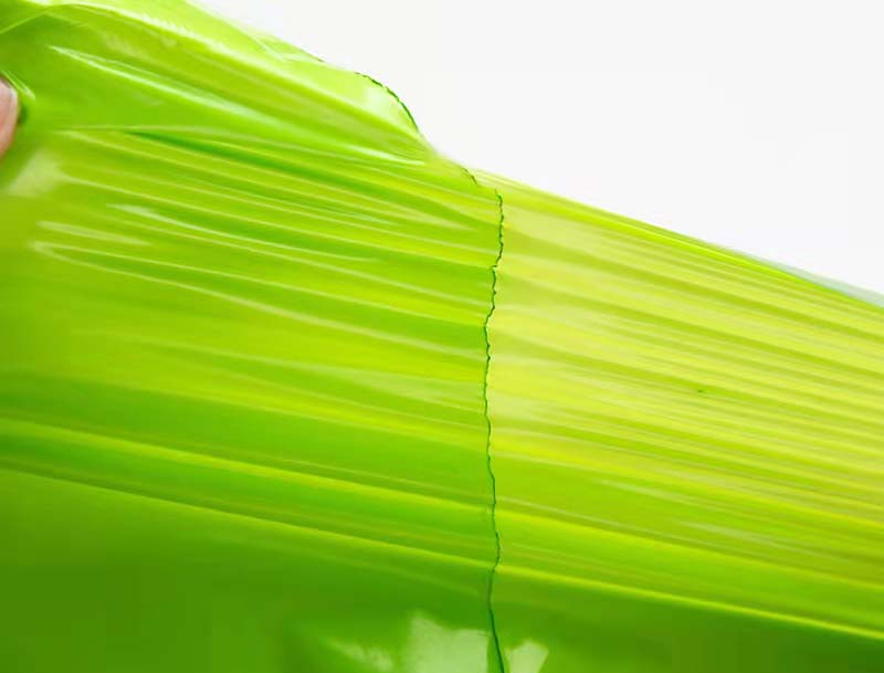 龙山果绿色快递袋-06